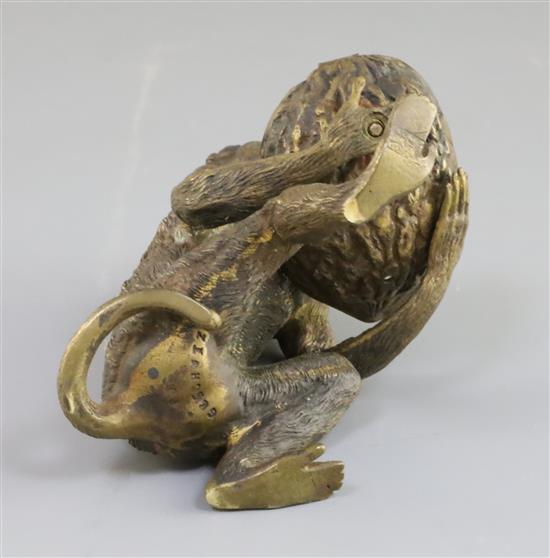 A late 19th century Franz Bergman cold painted bronze model of a monkey holding a walnut shell, 5in.